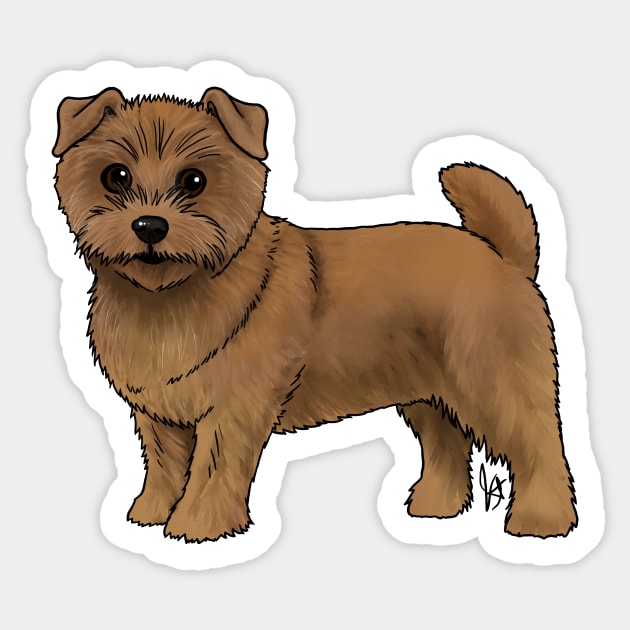 Red norfolk terrier cheap